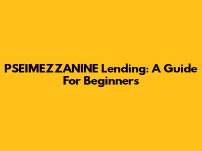 PSEIMEZZANINE Lending: A Guide For Beginners