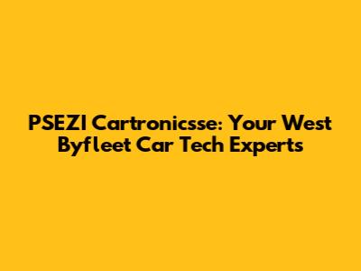 PSEZI Cartronicsse: Your West Byfleet Car Tech Experts