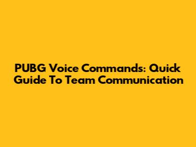 PUBG Voice Commands: Quick Guide To Team Communication