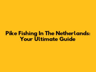 Pike Fishing In The Netherlands: Your Ultimate Guide