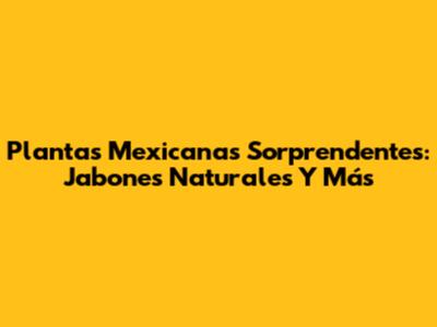 Plantas Mexicanas Sorprendentes: Jabones Naturales Y Más