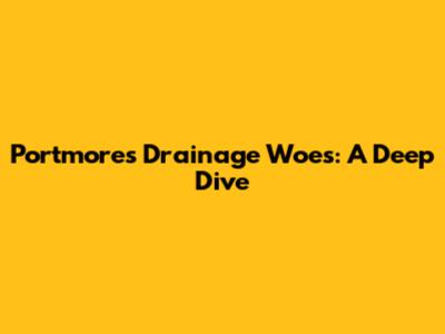 Portmore's Drainage Woes: A Deep Dive