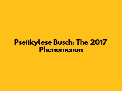 Pseiikylese Busch: The 2017 Phenomenon