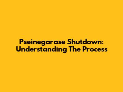 Pseinegarase Shutdown: Understanding The Process