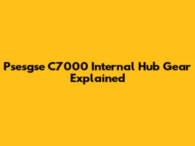 Psesgse C7000 Internal Hub Gear Explained