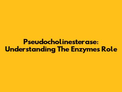 Pseudocholinesterase: Understanding The Enzyme's Role