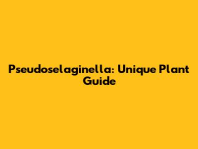 Pseudoselaginella: Unique Plant Guide