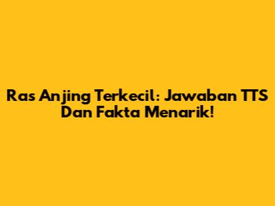 Ras Anjing Terkecil: Jawaban TTS Dan Fakta Menarik!