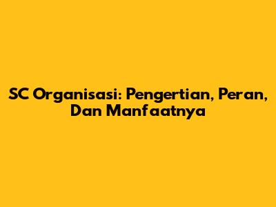 SC Organisasi: Pengertian, Peran, Dan Manfaatnya