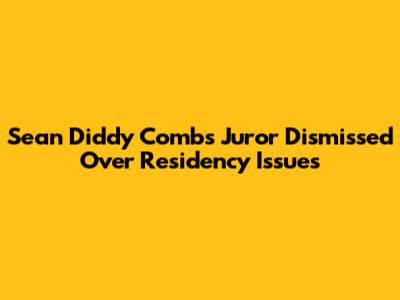 Sean Diddy Combs Juror Dismissed Over Residency Issues