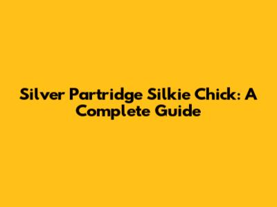 Silver Partridge Silkie Chick: A Complete Guide