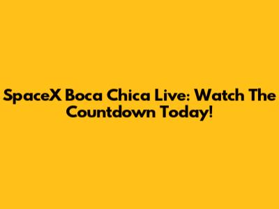 SpaceX Boca Chica Live: Watch The Countdown Today!