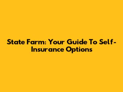 State Farm: Your Guide To Self-Insurance Options