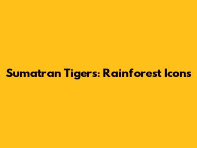 Sumatran Tigers: Rainforest Icons