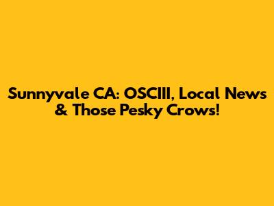 Sunnyvale CA: OSCIII, Local News & Those Pesky Crows!