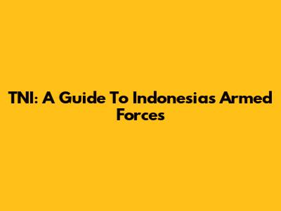 TNI: A Guide To Indonesia's Armed Forces