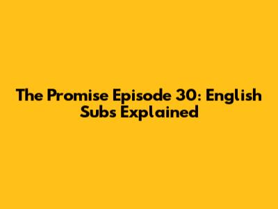 The Promise Episode 30: English Subs Explained