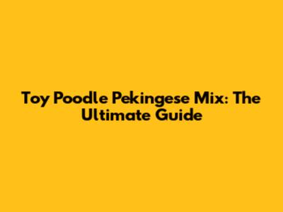 Toy Poodle Pekingese Mix: The Ultimate Guide
