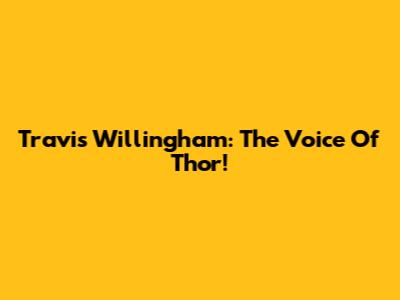 Travis Willingham: The Voice Of Thor!