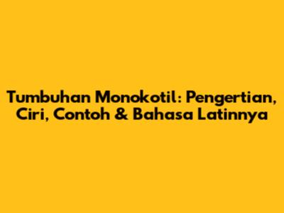 Tumbuhan Monokotil: Pengertian, Ciri, Contoh & Bahasa Latinnya