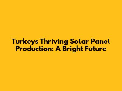 Turkey's Thriving Solar Panel Production: A Bright Future