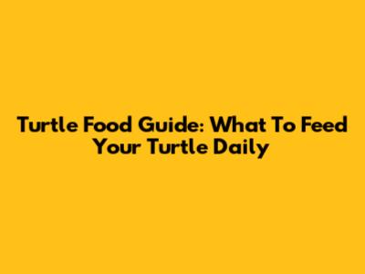 Turtle Food Guide: What To Feed Your Turtle Daily
