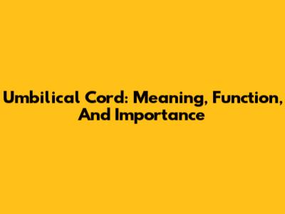 Umbilical Cord: Meaning, Function, And Importance