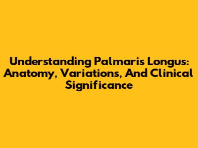 Understanding Palmaris Longus: Anatomy, Variations, And Clinical Significance