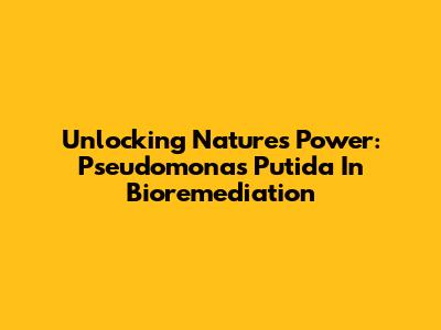 Unlocking Nature's Power: Pseudomonas Putida In Bioremediation