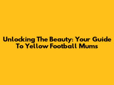 Unlocking The Beauty: Your Guide To Yellow Football Mums