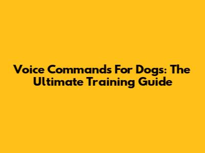 Voice Commands For Dogs: The Ultimate Training Guide