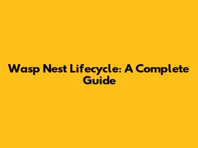 Wasp Nest Lifecycle: A Complete Guide