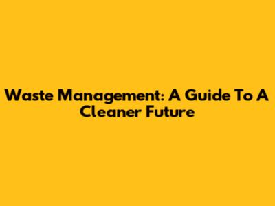 Waste Management: A Guide To A Cleaner Future