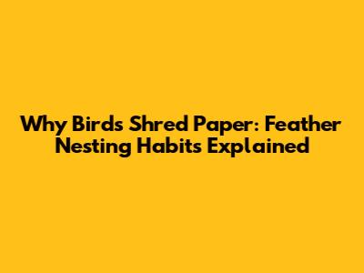 Why Birds Shred Paper: Feather Nesting Habits Explained