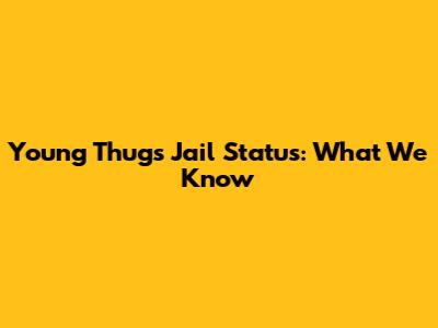 Young Thug's Jail Status: What We Know