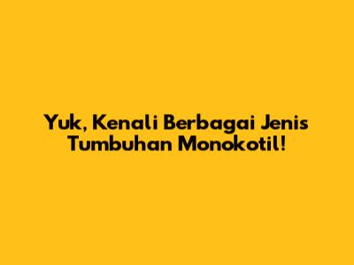 Yuk, Kenali Berbagai Jenis Tumbuhan Monokotil!